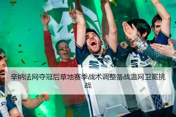 xin-na-fa-wang-duo-guan-hou-cao-di-sai-ji-zhan-shu-tiao-zheng-bei-zhan-wen-wang-wei-mian-tiao-zhan-2-675.jpg